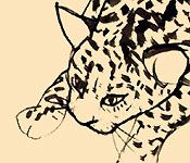Leopard | Animal Drawings