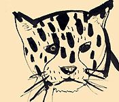 ジャガー | 動物素描